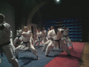 Karate_1_R